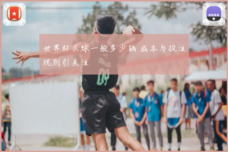 世界杯买球一般多少钱 成本与投注规则引关注