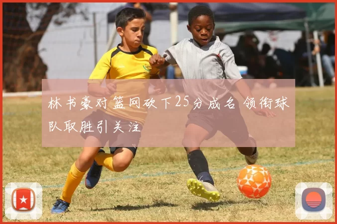 林书豪对篮网砍下25分成名 领衔球队取胜引关注